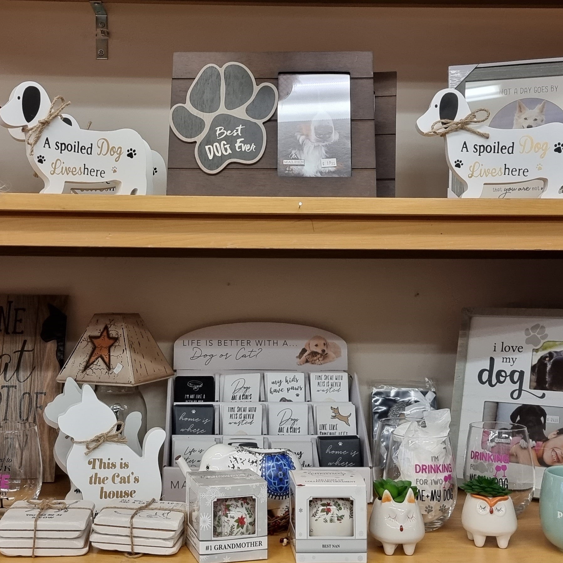 Dogs & Cats