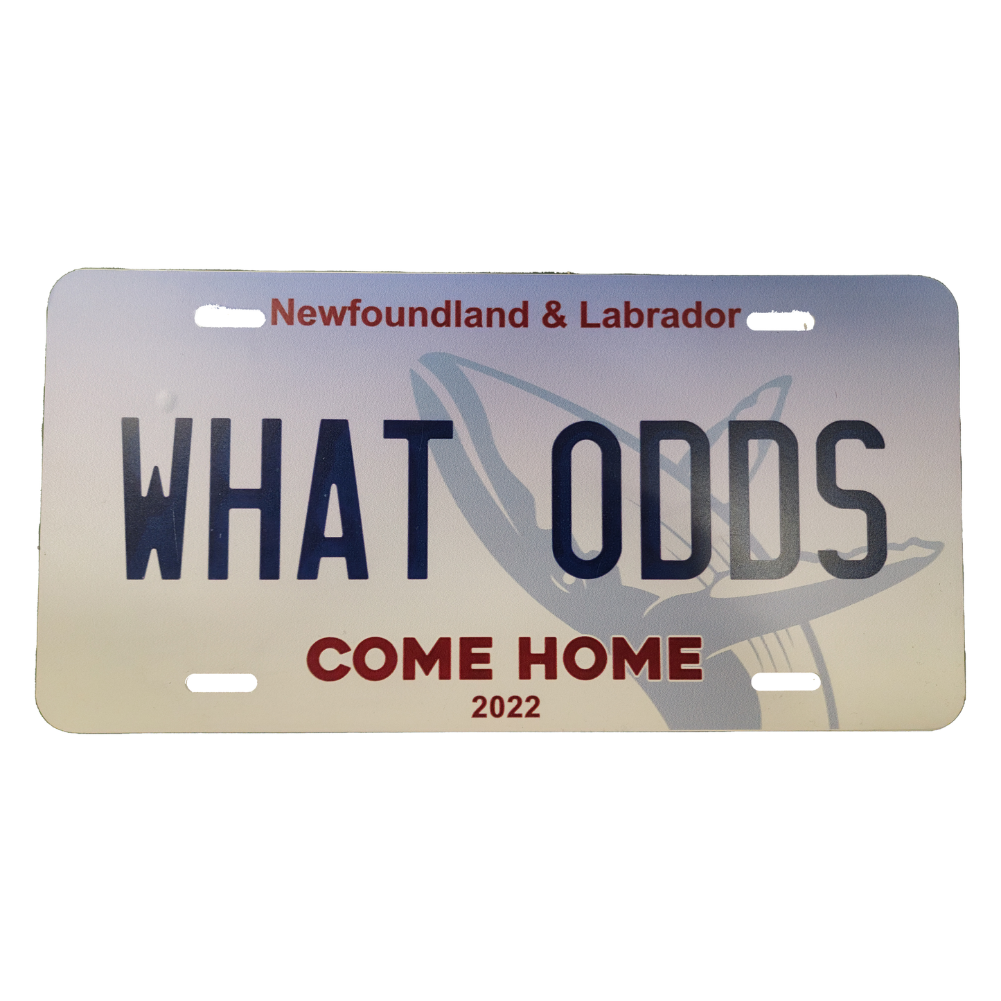License Plates