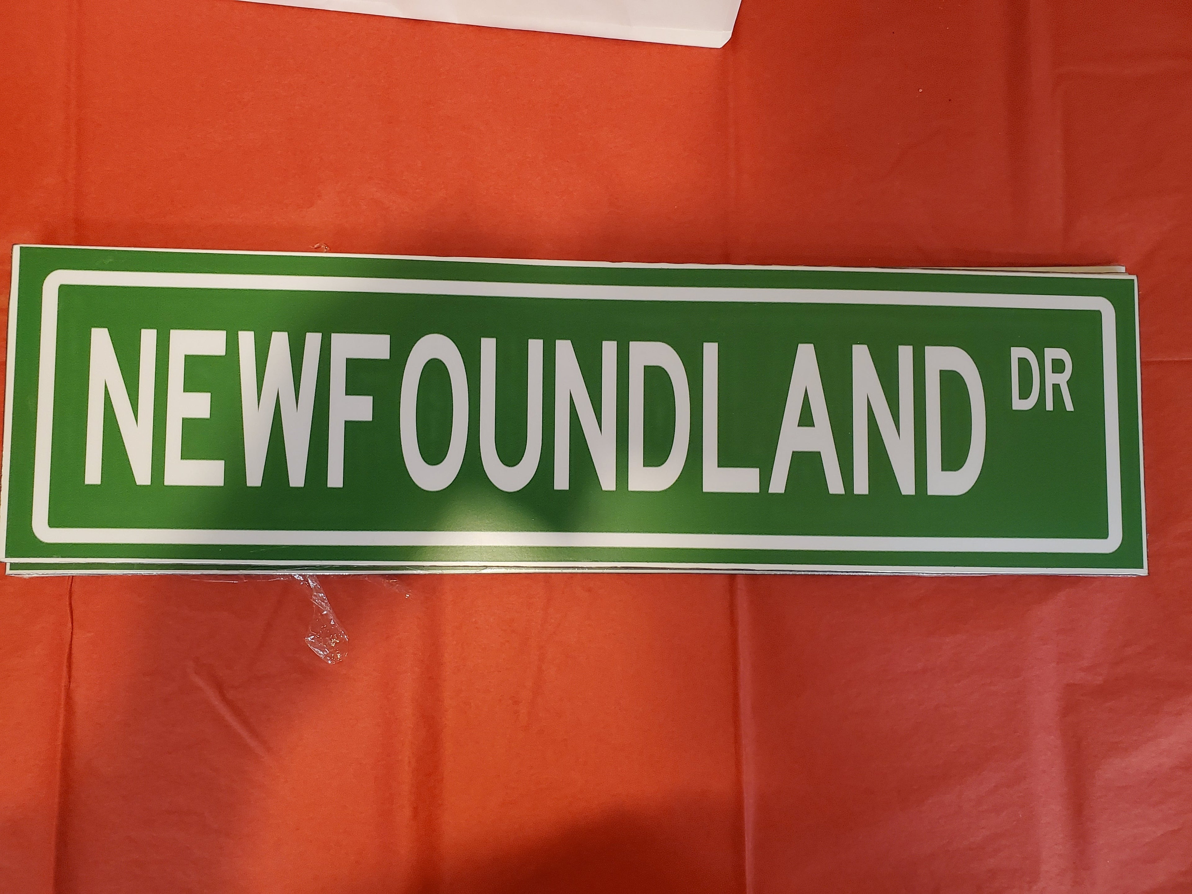 Street Signs _ St John's