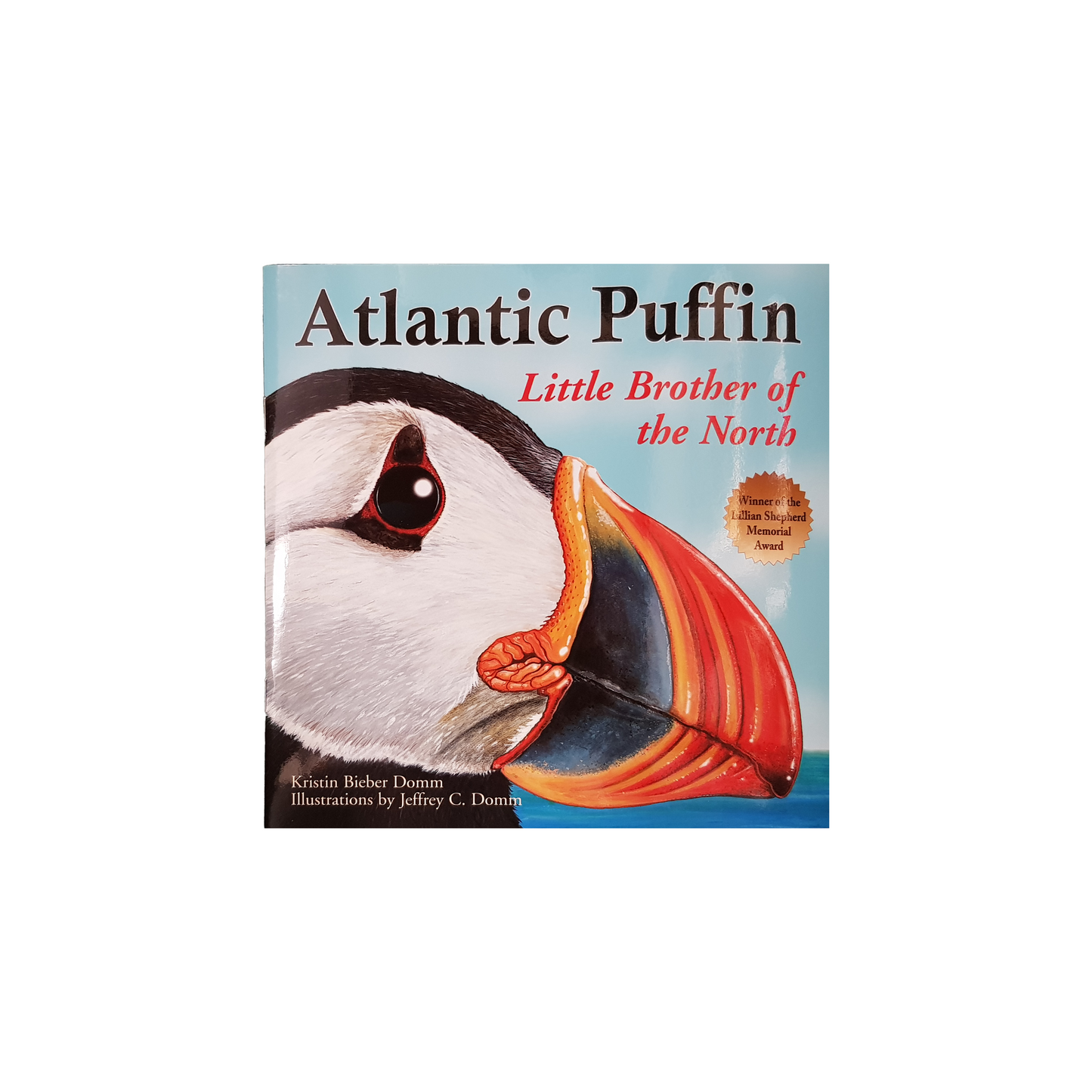 Atlantic Puffin: Little Brother Of The North