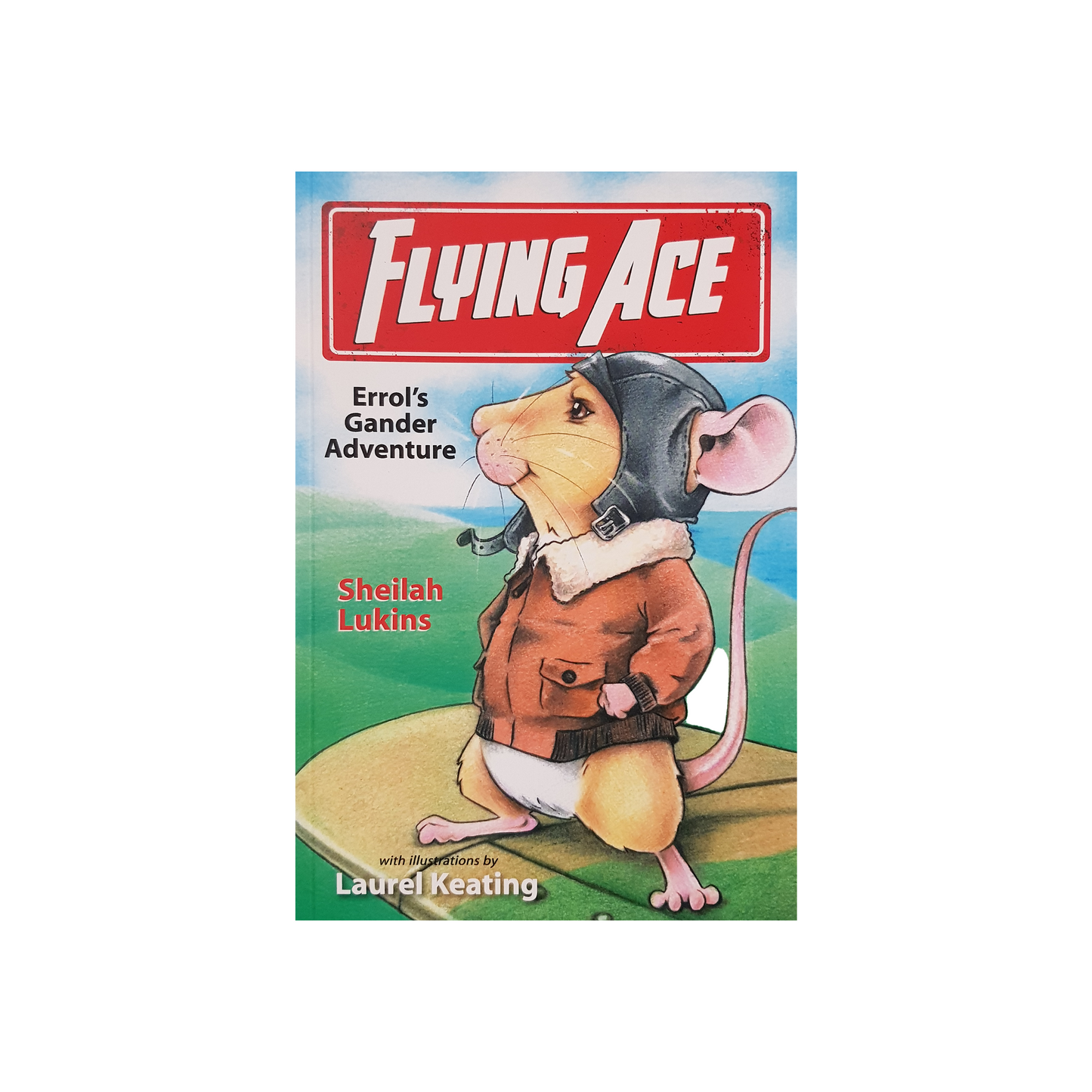 Flying Ace: Errol's Gander Adventure