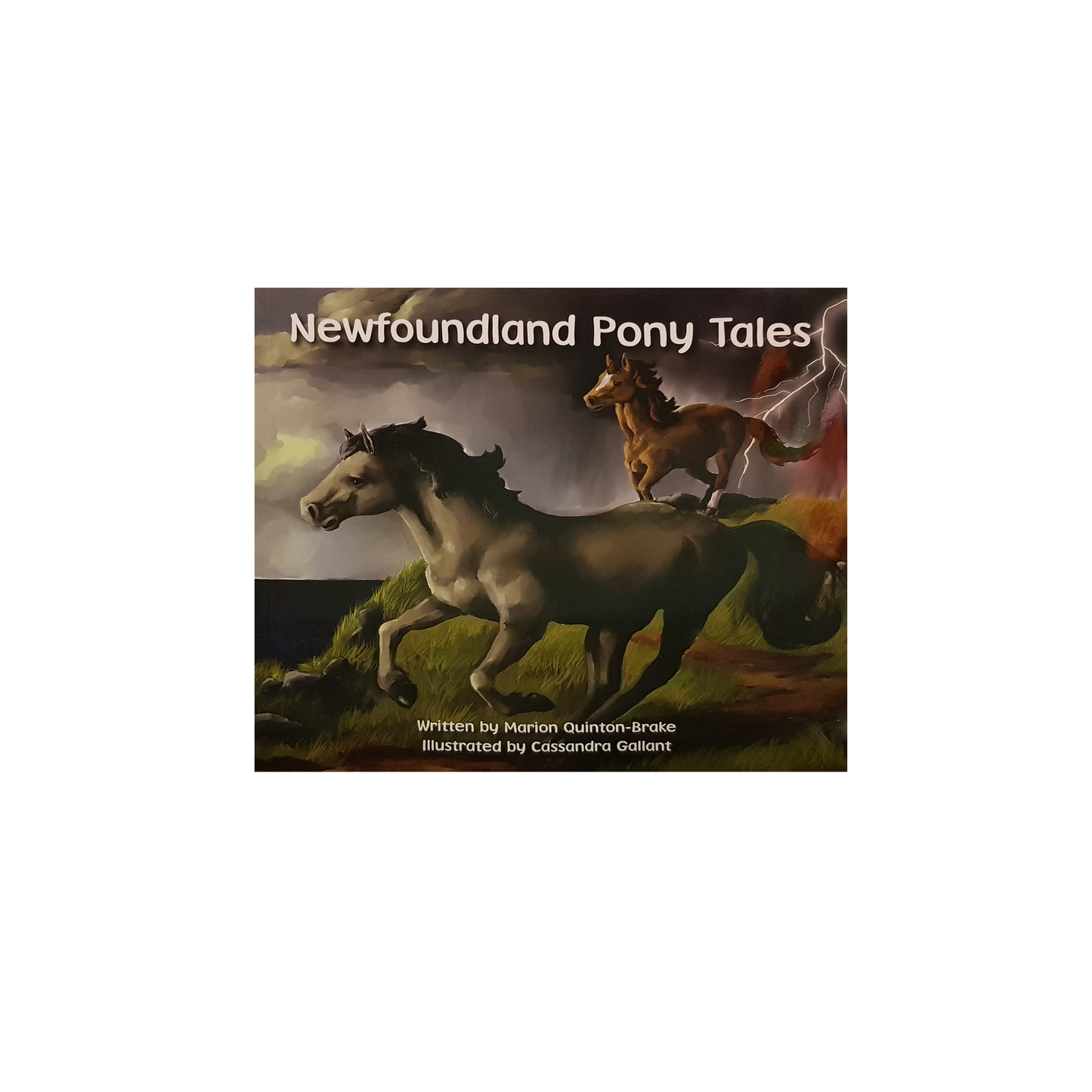Newfoundland Pony Tales