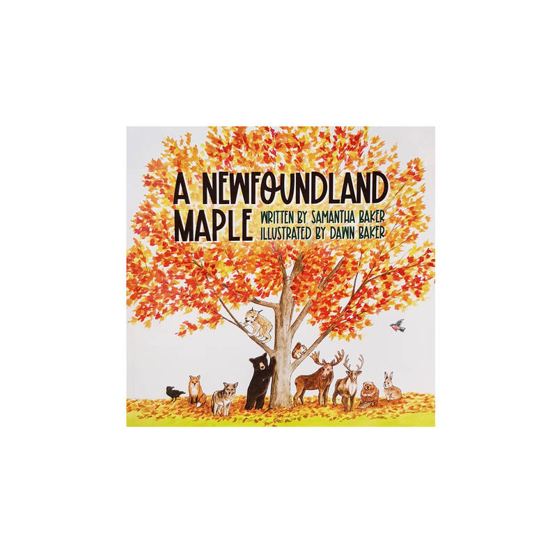 A Newfoundland Maple