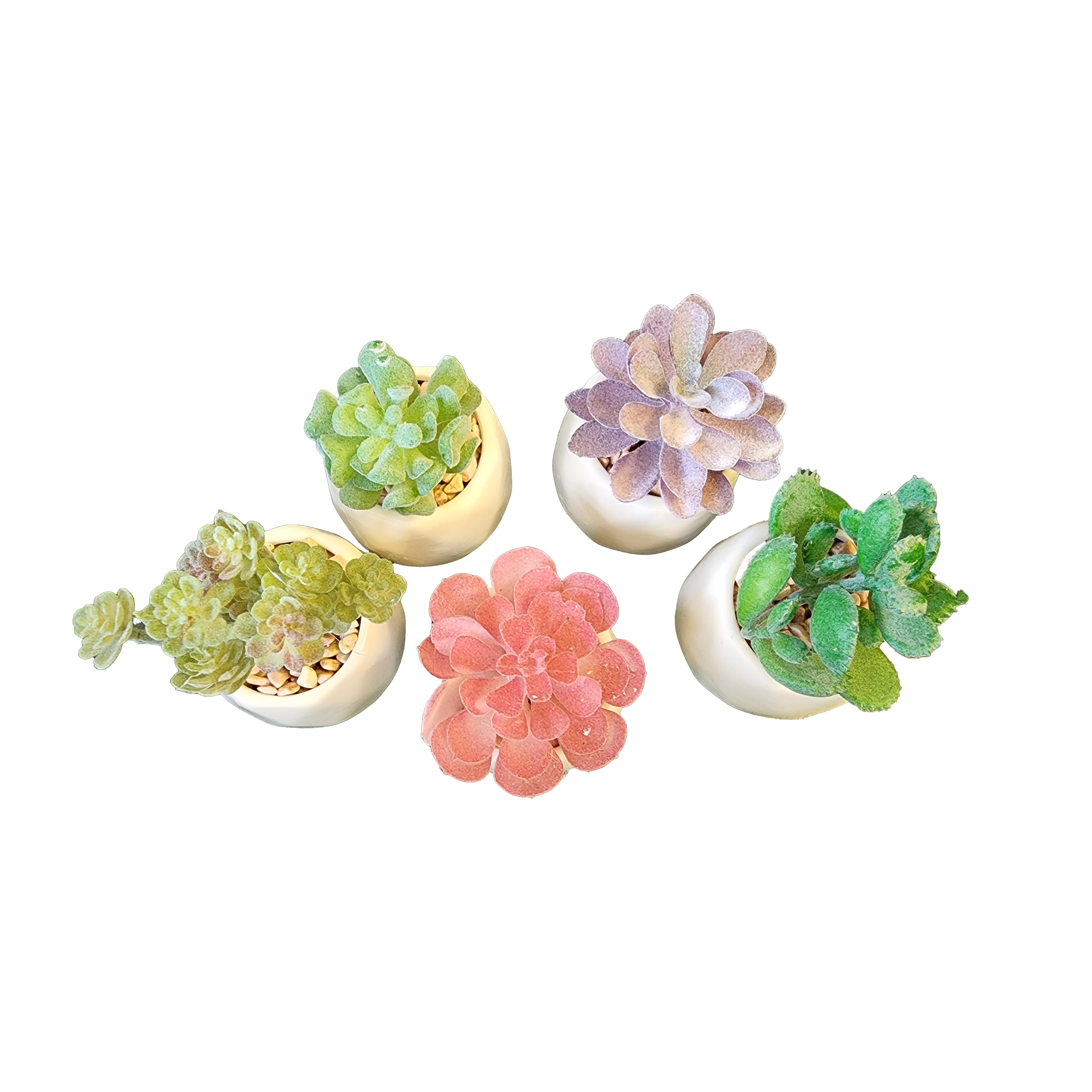 Plants