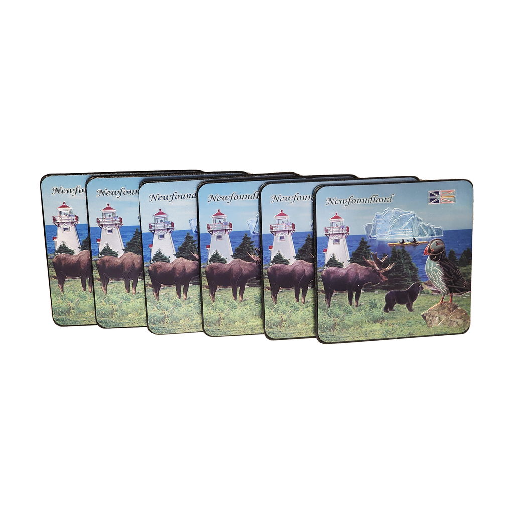 Newfoundland Coasters