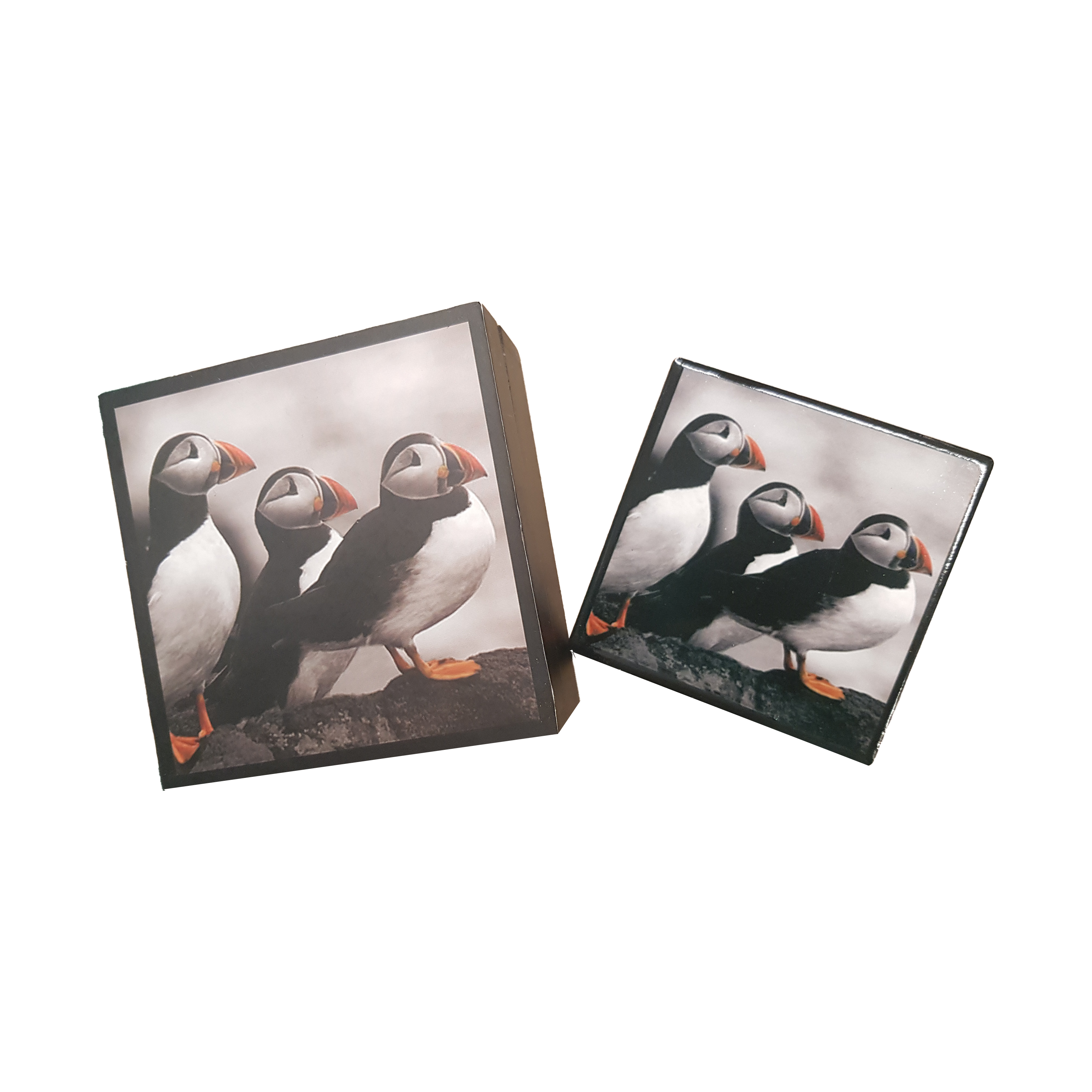 Newfoundland Coasters