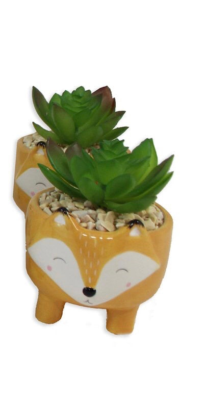 Cute Animal Planter Pots