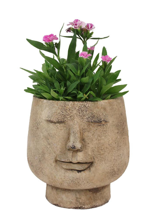 Smiling Face Planter