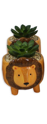 Cute Animal Planter Pots